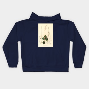 Dossinia marmorata - Botanical Illustration Kids Hoodie